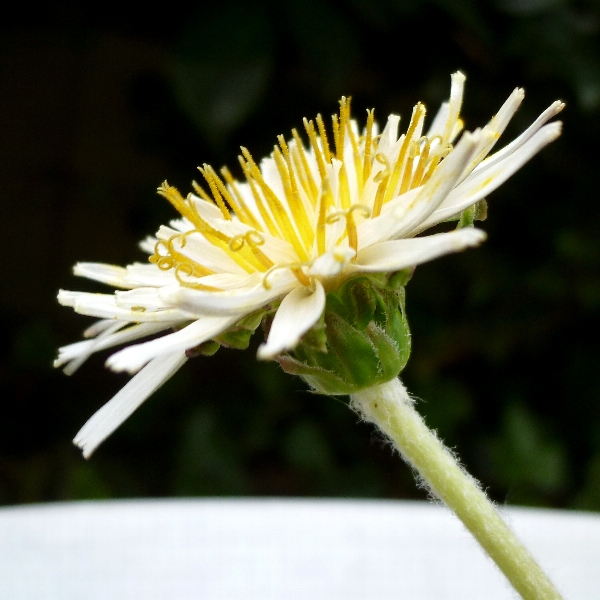 f:id:noraneko222:20111014165821j:image f:id:noraneko222:20111014165821j:image