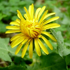f:id:noraneko222:20111014165937j:image f:id:noraneko222:20111014165937j:image