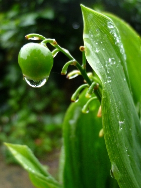 f:id:noraneko222:20111024220132j:image