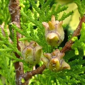 f:id:noraneko222:20111026192525j:image
