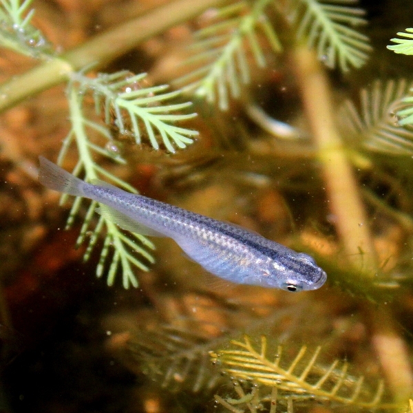 f:id:noraneko222:20111027204336j:image