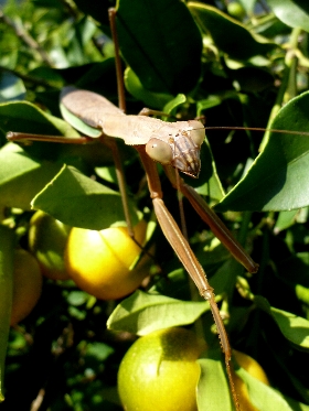 f:id:noraneko222:20111030193021j:image f:id:noraneko222:20111030193021j:image