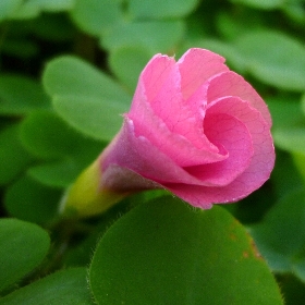 f:id:noraneko222:20111031165312j:image