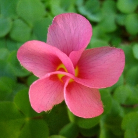 f:id:noraneko222:20111031165313j:image