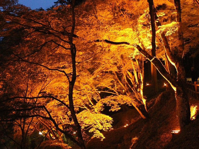 f:id:noraneko222:20111103193209j:image