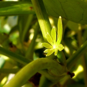 f:id:noraneko222:20111117185437j:image