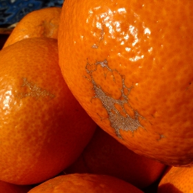 f:id:noraneko222:20111218155514j:image