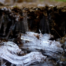f:id:noraneko222:20120204183149j:image f:id:noraneko222:20120204183149j:image