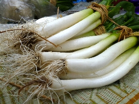 f:id:noraneko222:20120227152258j:image