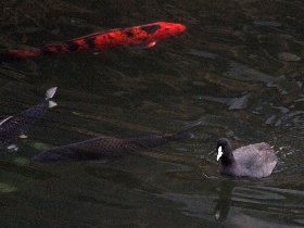 f:id:noraneko222:20120229190703j:image f:id:noraneko222:20120229190703j:image