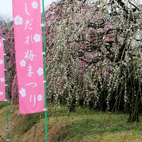 f:id:noraneko222:20120320181714j:image