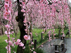 f:id:noraneko222:20120320181716j:image