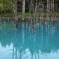 [北海道][青い池]