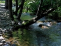 [北海道][六花の森]