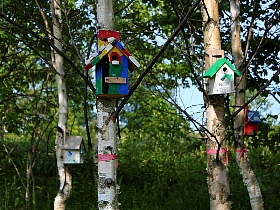 f:id:noraneko222:20120618172945j:image