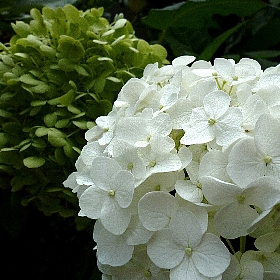 f:id:noraneko222:20120729183444j:image