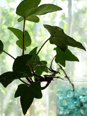 f:id:noraneko222:20120809132031j:image