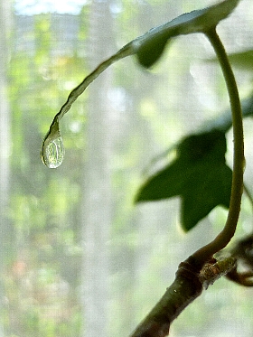f:id:noraneko222:20120809132034j:image f:id:noraneko222:20120809132034j:image