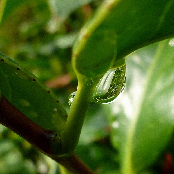 f:id:noraneko222:20120811194631j:image