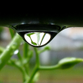 f:id:noraneko222:20120814193813j:image