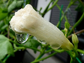 f:id:noraneko222:20120814193814j:image