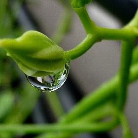 f:id:noraneko222:20120814193815j:image