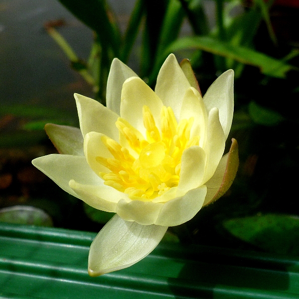 f:id:noraneko222:20120815193742j:image