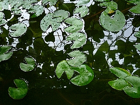 f:id:noraneko222:20120815193903j:image