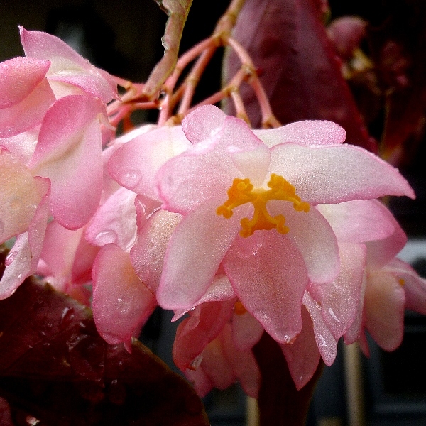 f:id:noraneko222:20120819182258j:image f:id:noraneko222:20120819182258j:image