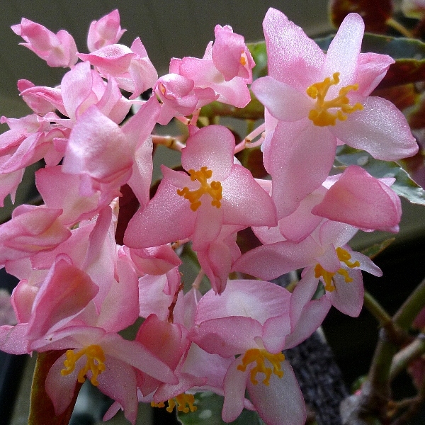 f:id:noraneko222:20120819182300j:image f:id:noraneko222:20120819182300j:image