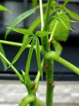 f:id:noraneko222:20120820183952j:image f:id:noraneko222:20120820183952j:image