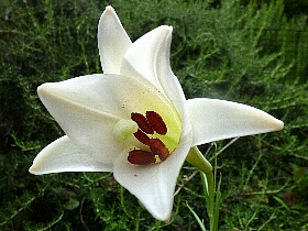 f:id:noraneko222:20120821195732j:image