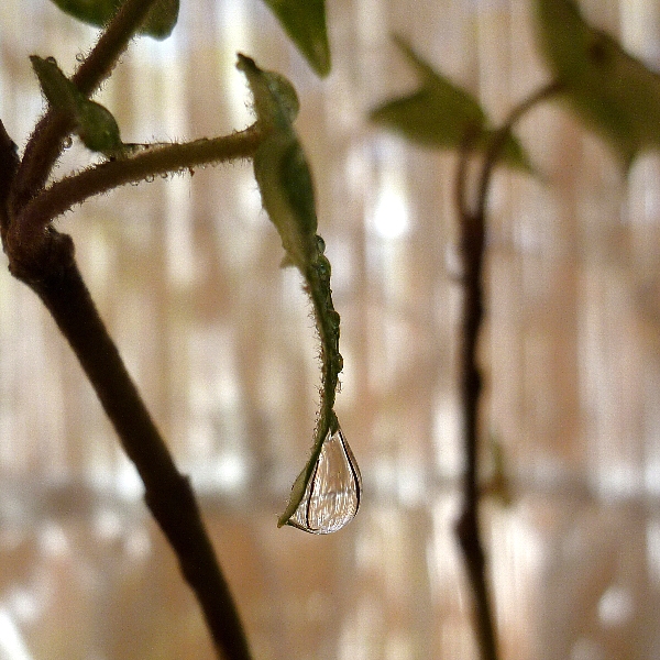 f:id:noraneko222:20120823235706j:image