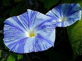 f:id:noraneko222:20120826194918j:image