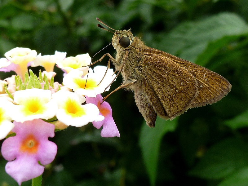 f:id:noraneko222:20120829184104j:image