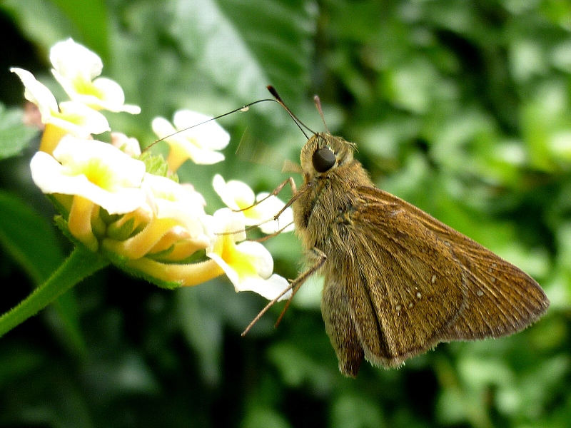 f:id:noraneko222:20120829184105j:image