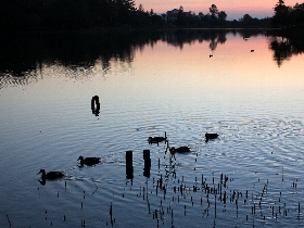 f:id:noraneko222:20121020191035j:image