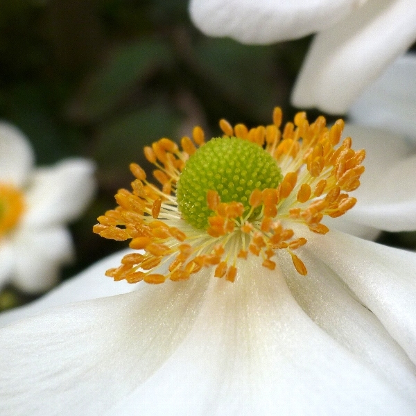 f:id:noraneko222:20121025194004j:image f:id:noraneko222:20121025194004j:image