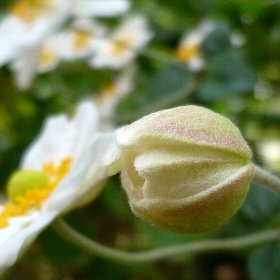 f:id:noraneko222:20121025194005j:image f:id:noraneko222:20121025194005j:image