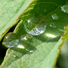 f:id:noraneko222:20121116194058j:image