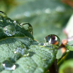 f:id:noraneko222:20121116194059j:image