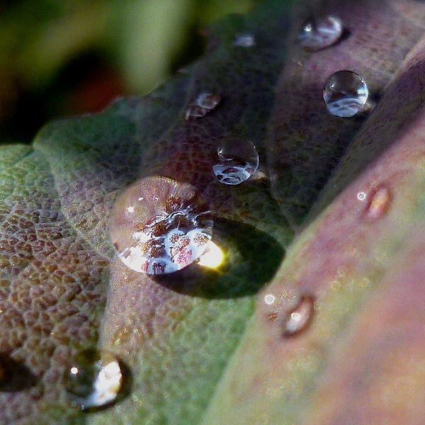 f:id:noraneko222:20121116194103j:image