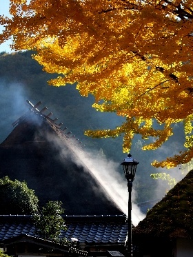 f:id:noraneko222:20121117184647j:image