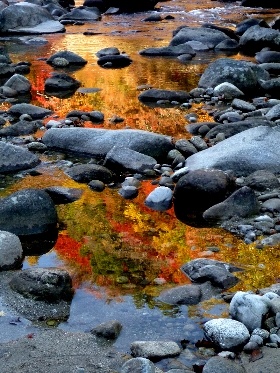 f:id:noraneko222:20121117184651j:image