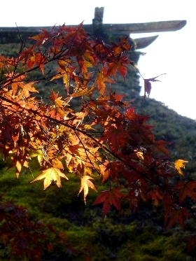 f:id:noraneko222:20121117184652j:image