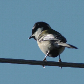 f:id:noraneko222:20121120184208j:image