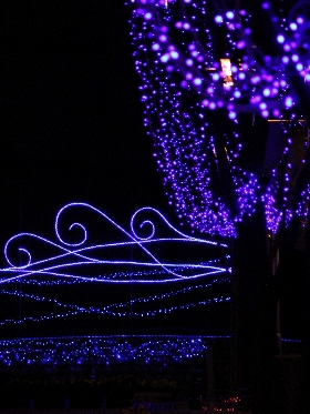 f:id:noraneko222:20121122195722j:image