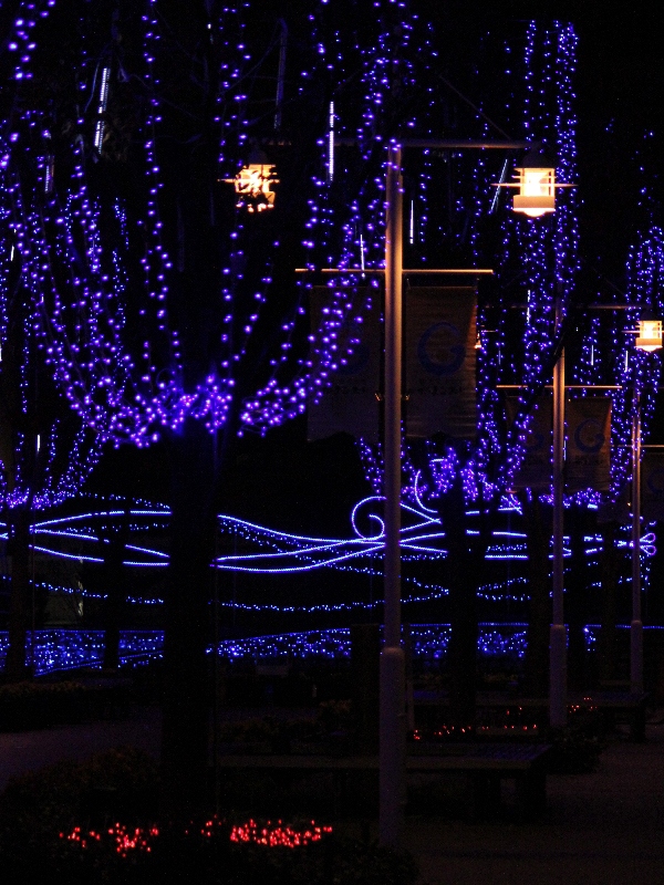 f:id:noraneko222:20121122195723j:image