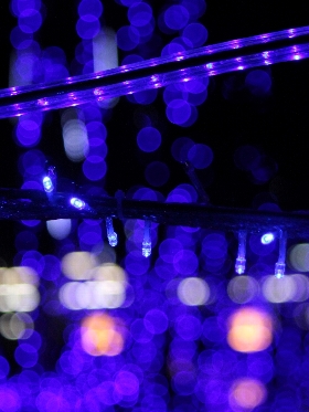 f:id:noraneko222:20121122195724j:image