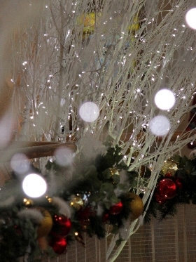 f:id:noraneko222:20121128193543j:image